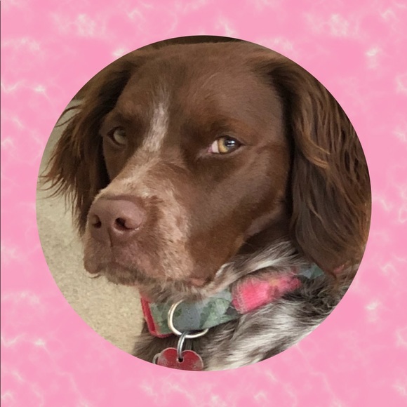 Meet your Posher, Stephanie - Picture 1 of 4